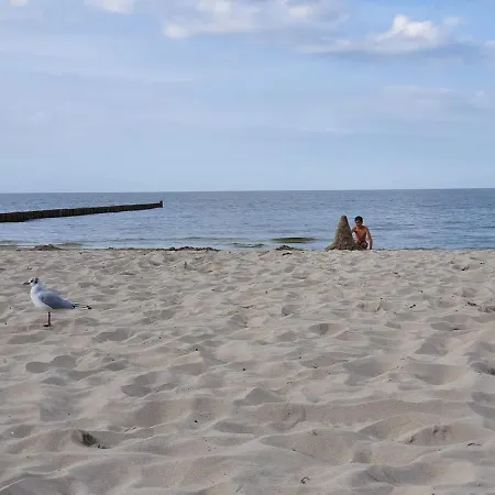 Hébergement de vacances Schuett Zempin