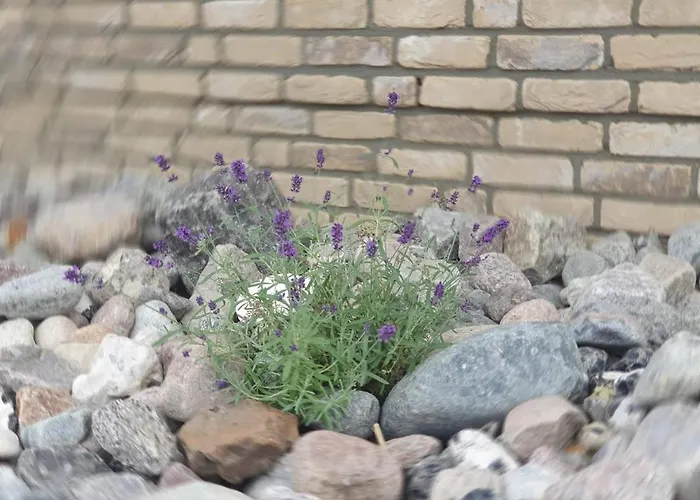 Schuett بيت للعطل